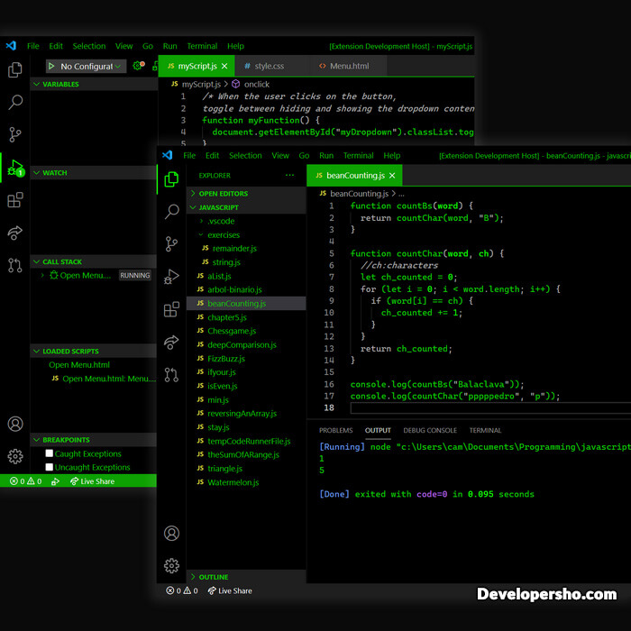 تم دارک هکری Pro Hacker Theme برای ویژوال استودیو کد