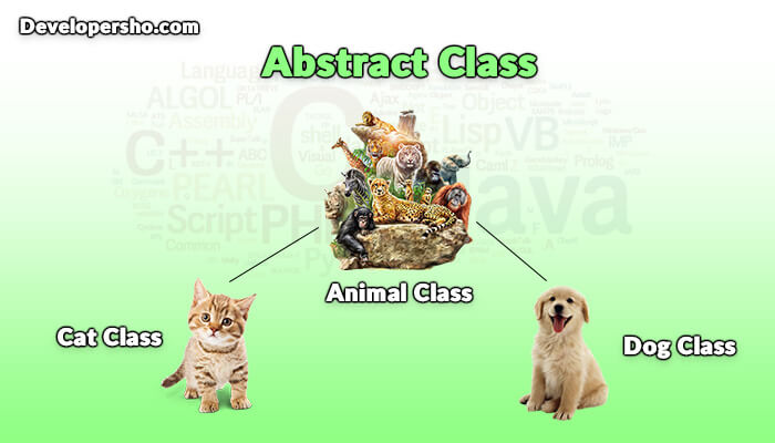 Abstract Class چیست؟