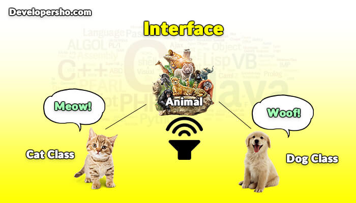 Interface چیست؟