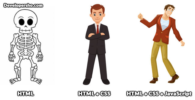 تفاوت HTML و CSS و JavaScript